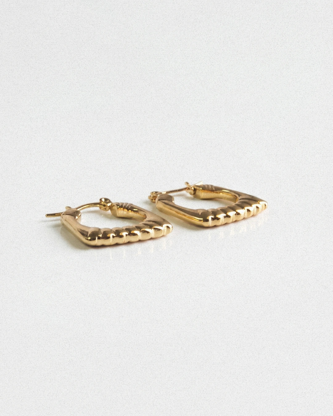 Chunky Hoops Earring