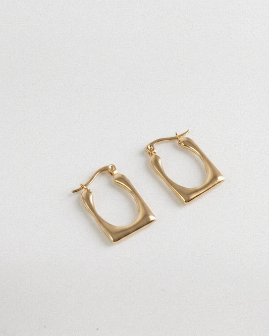 Sculpted Hoops Earring