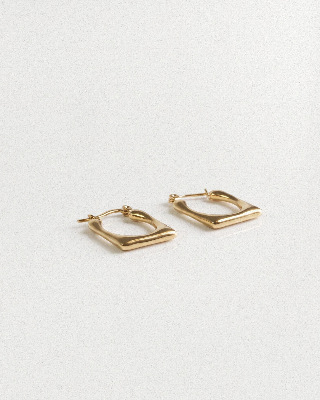 Sculpted Hoops Earring