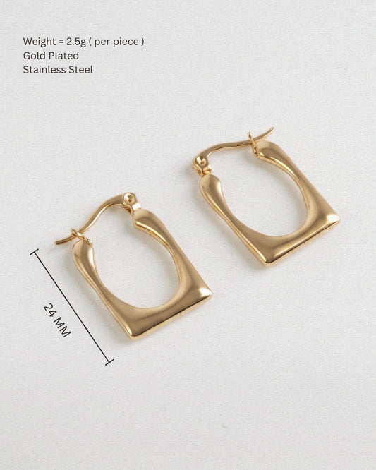 Sculpted Hoops Earring