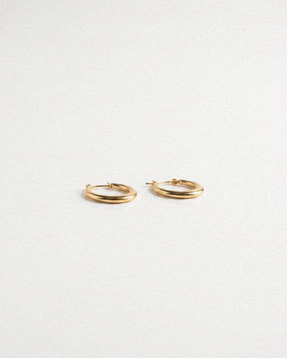 Classic Hoops Earring