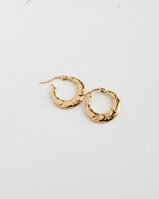 Hammered Hoops Earring