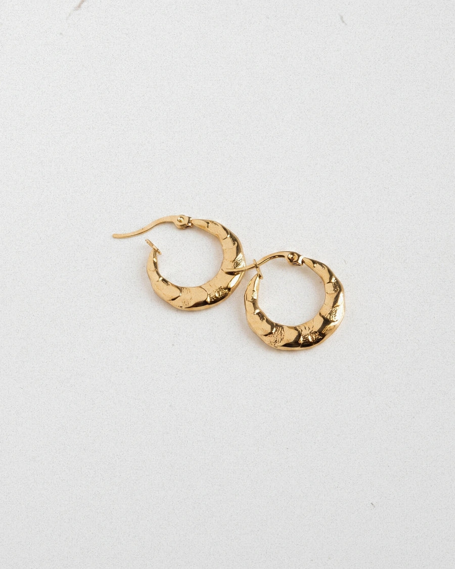 Hammered Hoops Earring