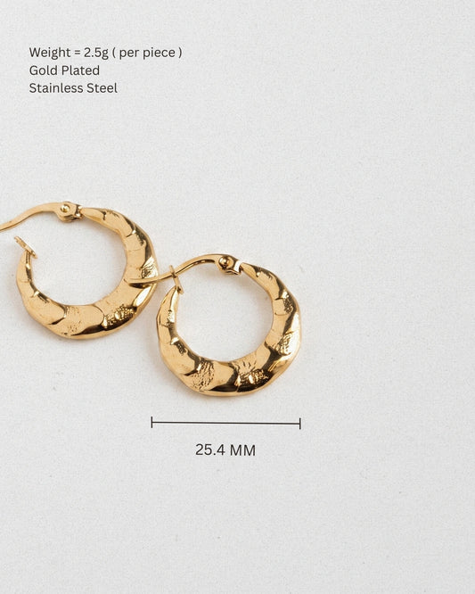 Hammered Hoops Earring